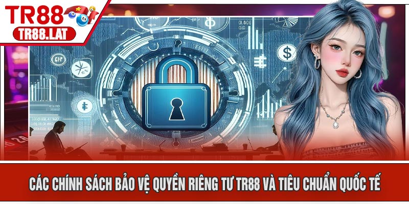 Các Chính Sách Bảo Vệ Quyền Riêng Tư TR88 Và Tiêu Chuẩn Quốc Tế