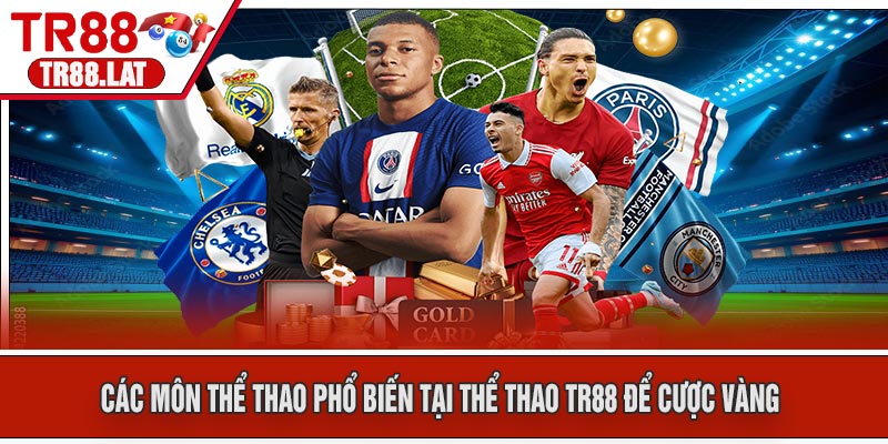 Các Môn Thể Thao Phổ Biến Tại Thể Thao TR88 Để Cược Vàng