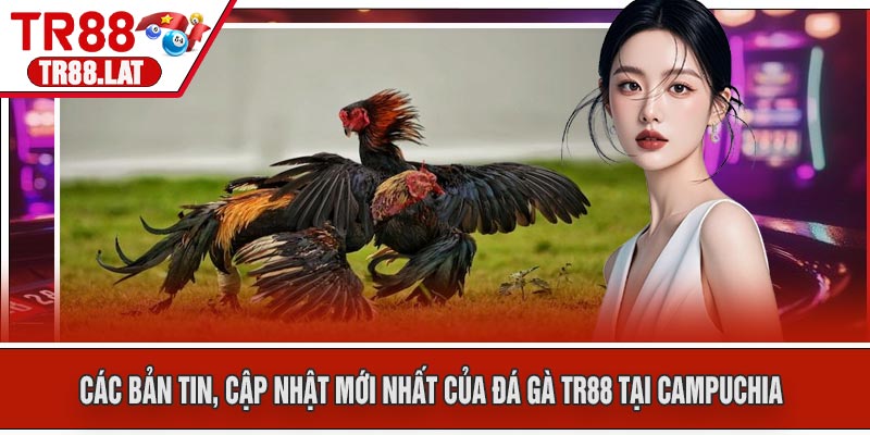 Các bản tin, cập nhật mới nhất của Đá Gà TR88 tại Campuchia