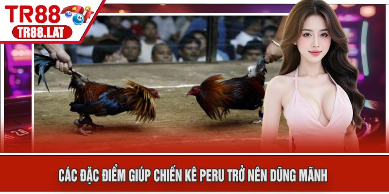 Các đặc điểm giúp chiến kê Peru trở nên dũng mãnh