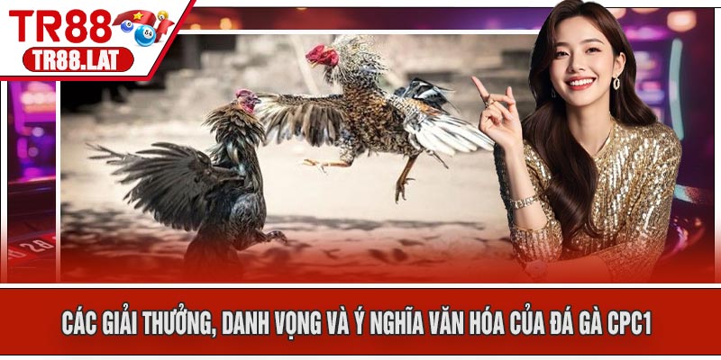 Các giải thưởng, danh vọng và ý nghĩa văn hóa của Đá Gà CPC1