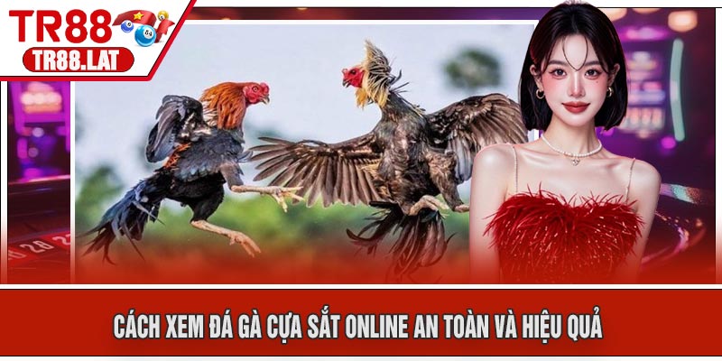 Cách Xem Đá Gà Cựa Sắt Online An Toàn Và Hiệu Quả