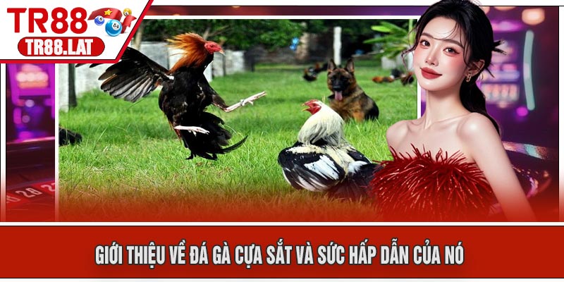 Giới thiệu về Đá Gà Cựa Sắt và Sức Hấp Dẫn Của Nó