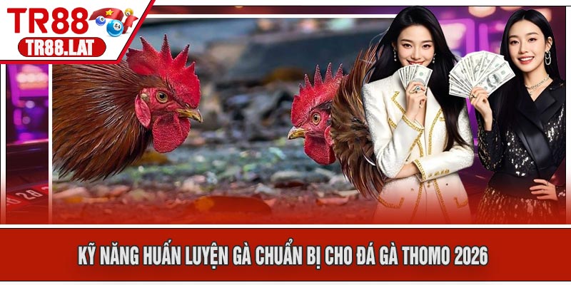 Kỹ Năng Huấn Luyện Gà Chuẩn Bị Cho Đá Gà Thomo 2026