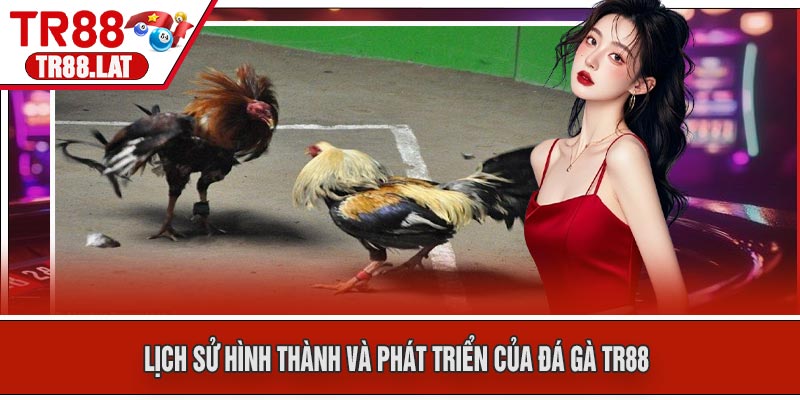 Lịch sử hình thành và phát triển của Đá Gà TR88
